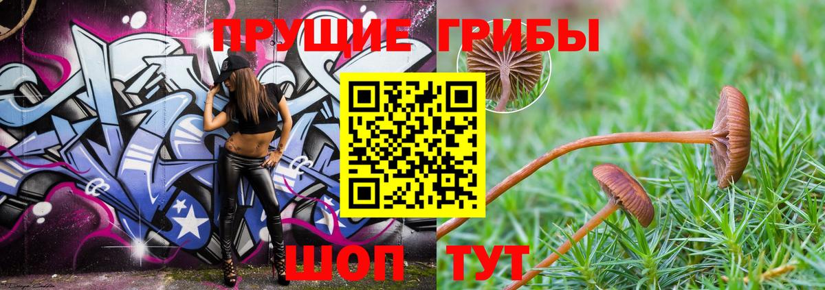 Галлюциногенные грибы Psilocybe  Вход с VPN  Жуковский 